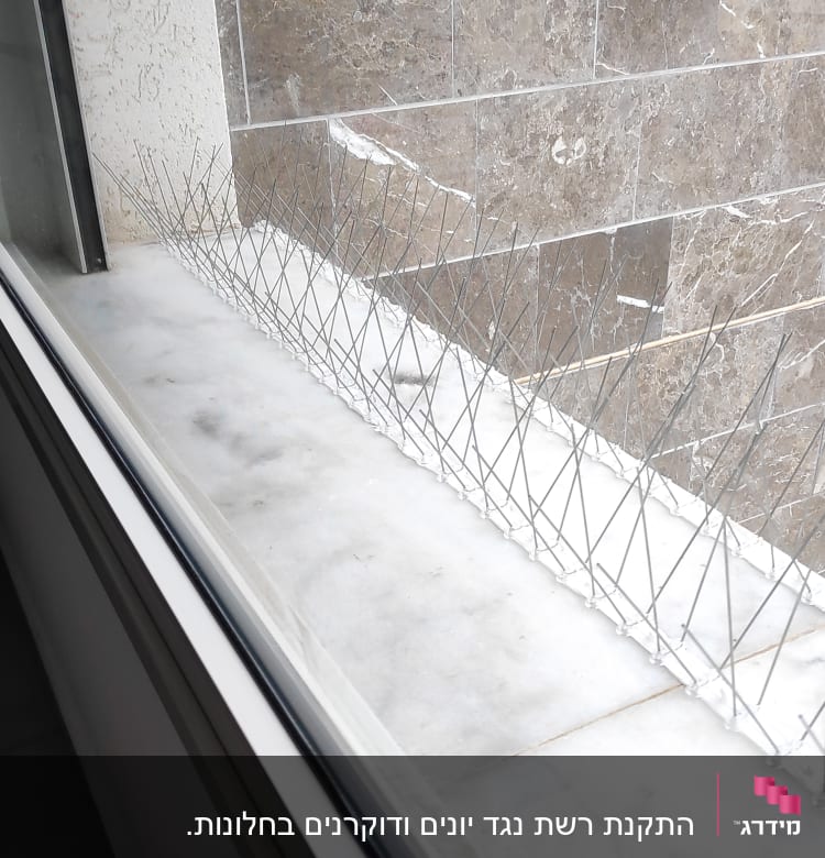 דוקרנים למניעת יונים על אדן חלון